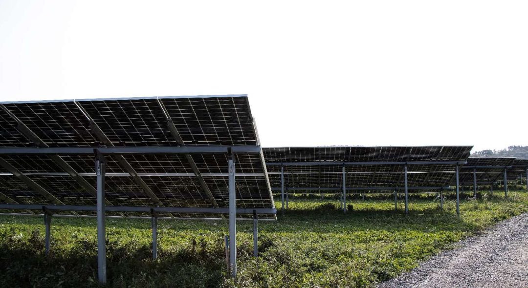 Solelpark med bifacial-moduler i Varberg Norra, Sverige