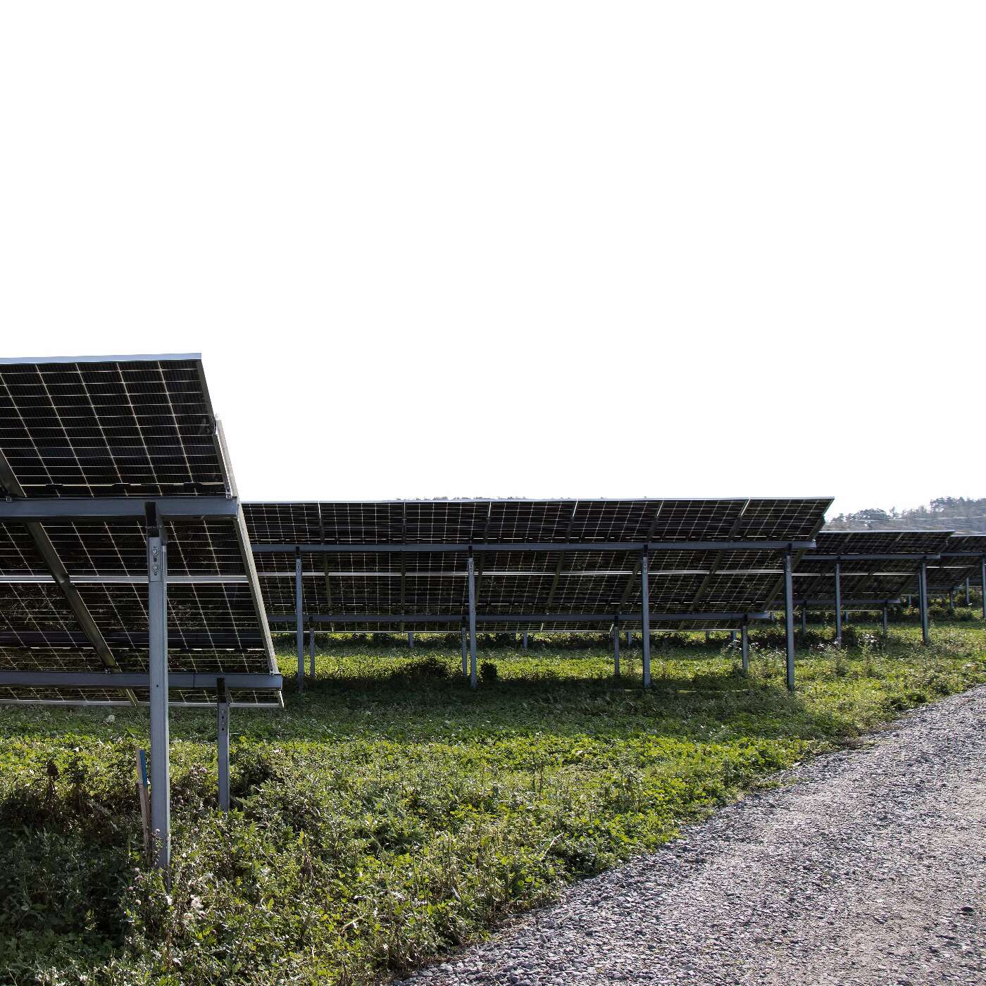 Solelpark Varberg Norra, Solkompaniet och Solgrid.