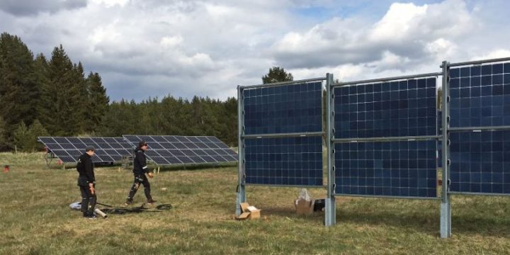 Agrivoltaics_Solkompaniet-810×405