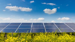 forskning-sole-lantbruket