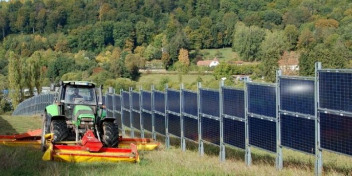 Solceller-i-kombination-med-odling-810×405