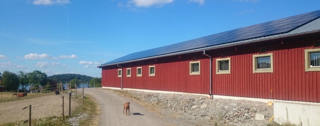 Solceller-på-lantbruk1112x440