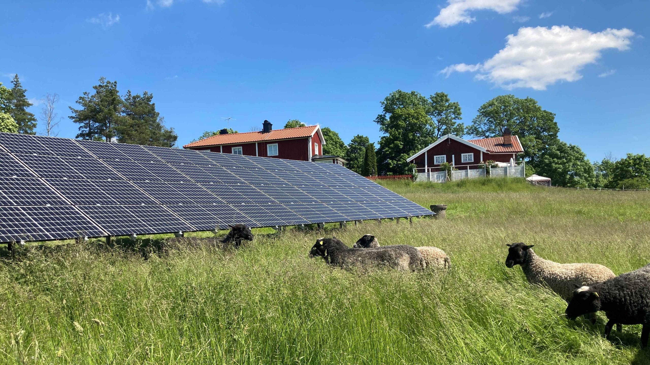 solhagen-i-torphyttan