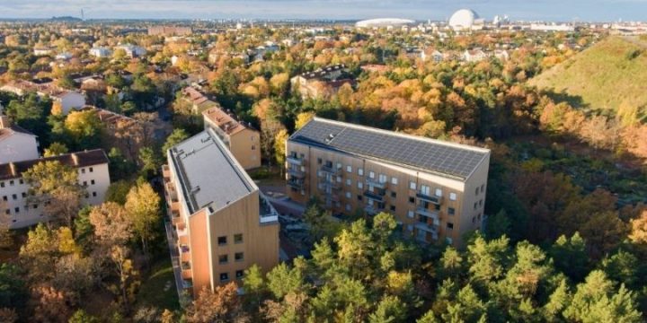 Taklampan-3-810×405