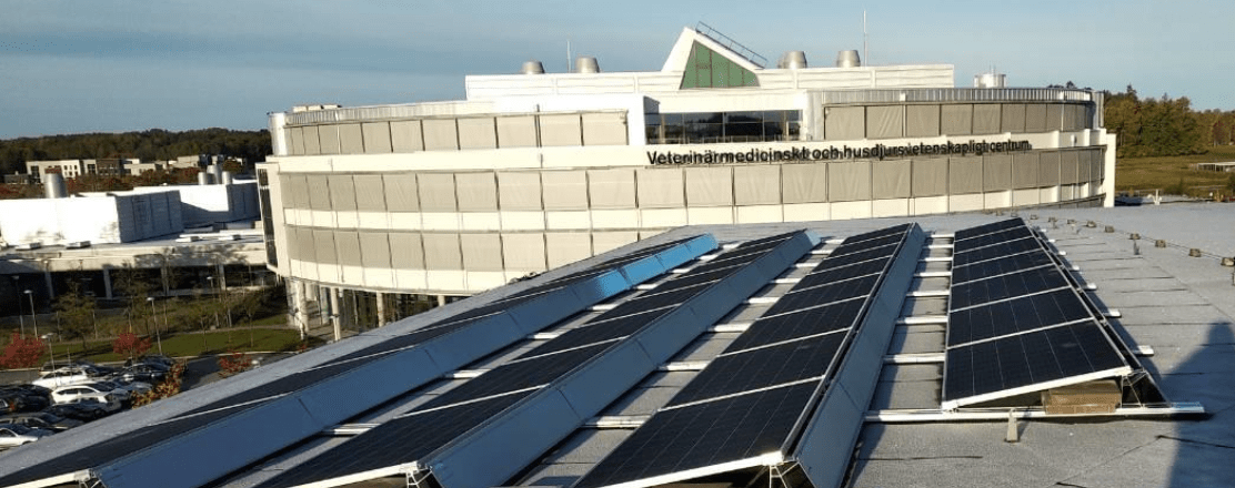 Ultuna-veterinärhuset-1