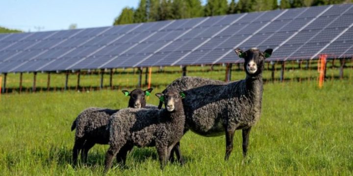 Solhagen_LindeEnergi_2020-810×405