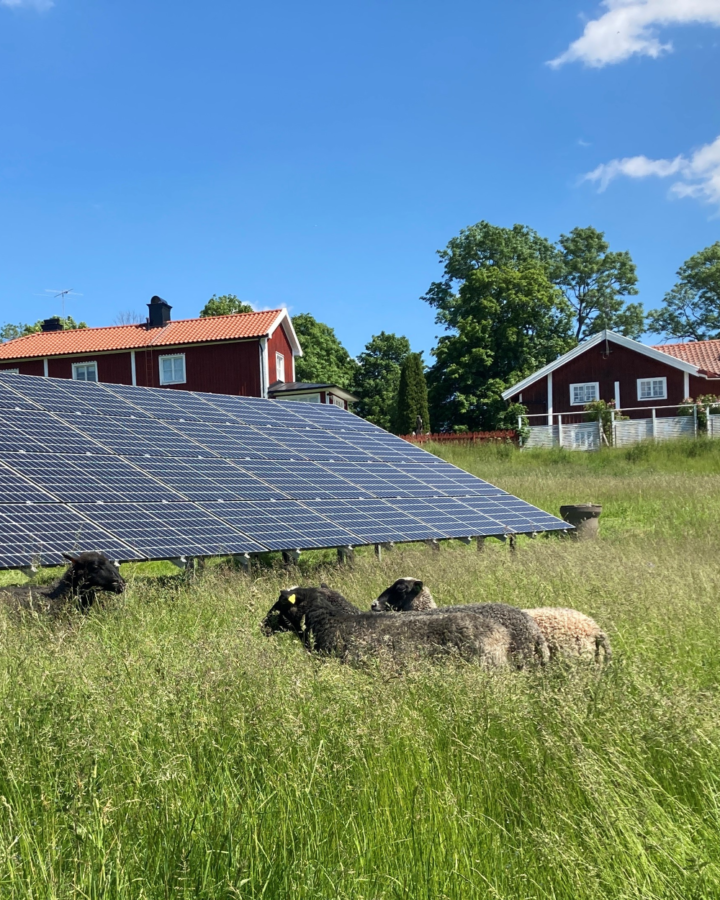 Solhagen Torphyttan stående