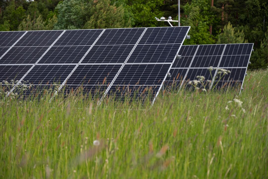 Bild startsida citatmodul